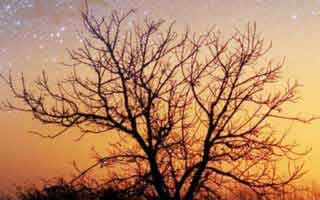 蘑菇影视在线观看深度揭秘：丑闻风波背后，圈内人在民宿客房的角色疯狂令人意外