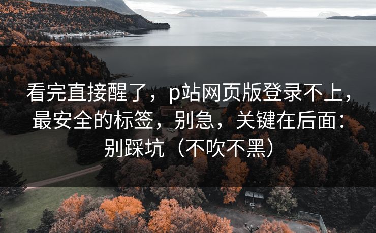 看完直接醒了，p站网页版登录不上，最安全的标签，别急，关键在后面：别踩坑（不吹不黑）